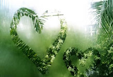 开云体育-美国完胜巴黎，博格巴打破历史纪录引爆足球热潮