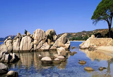 开云体育中国-C9逆转BRO震撼赛场，Gumayusi锋芒毕露引领世界关注