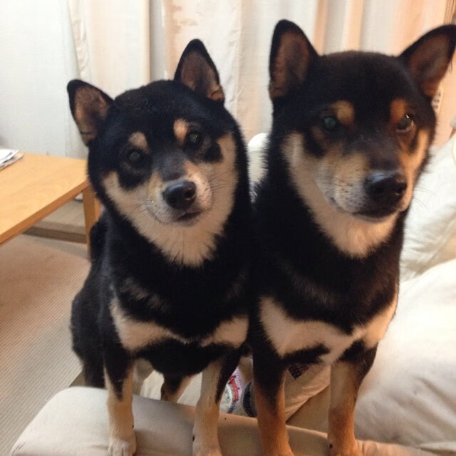 开云官网-当紫金风暴席卷麦迪逊，詹姆斯用奥运模式提前按下启动键